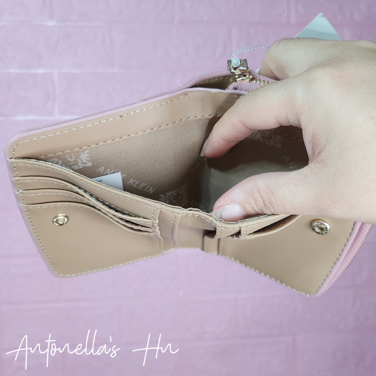 Anne Klein Monedero Color Rosa Nude