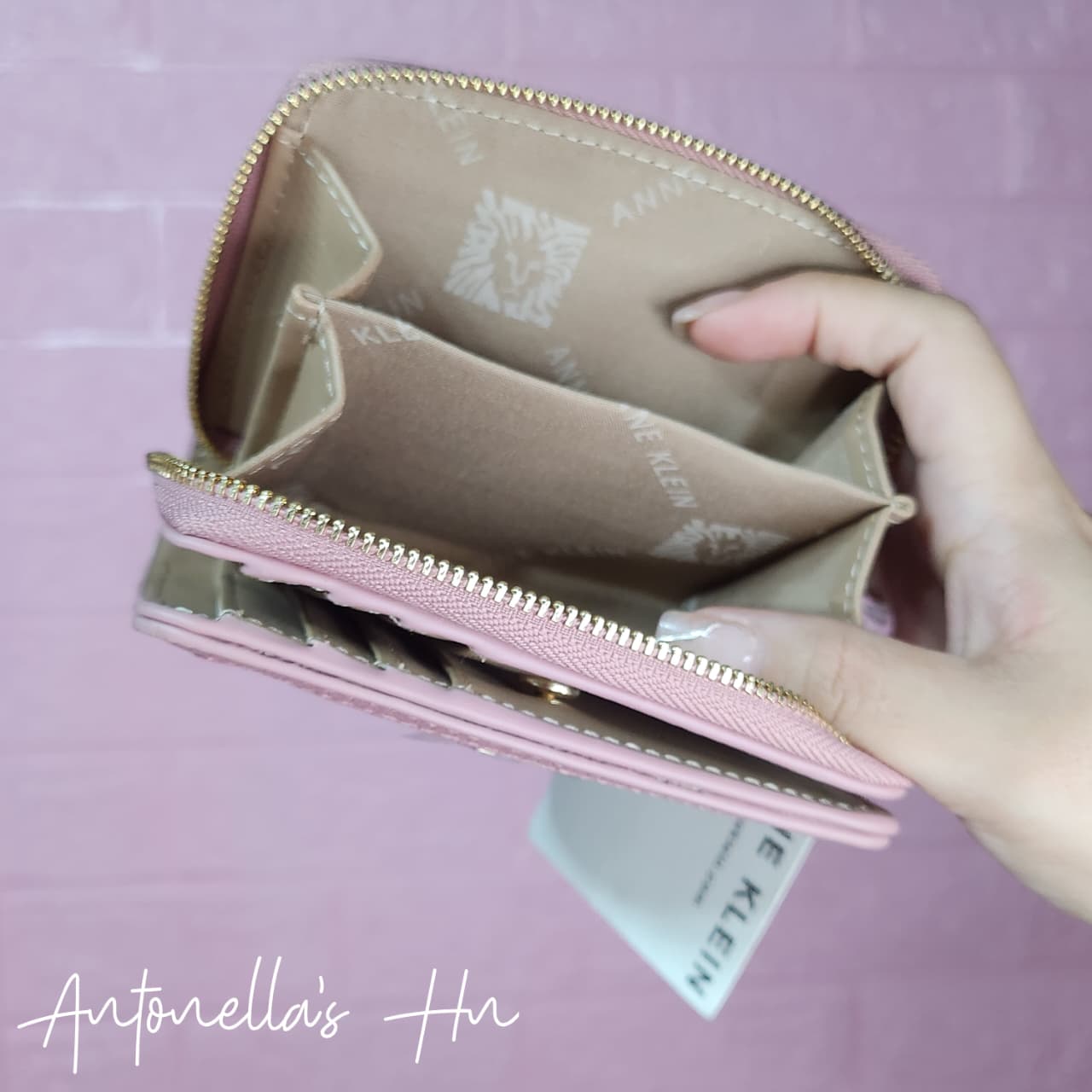 Anne Klein Monedero Color Rosa Nude