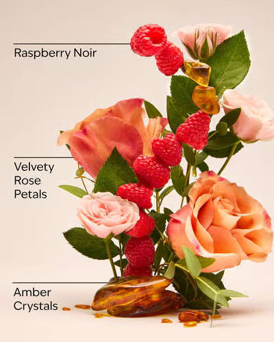 BATH & BODY WORKS Set Mini INTO THE NIGHT (3 Pzas)