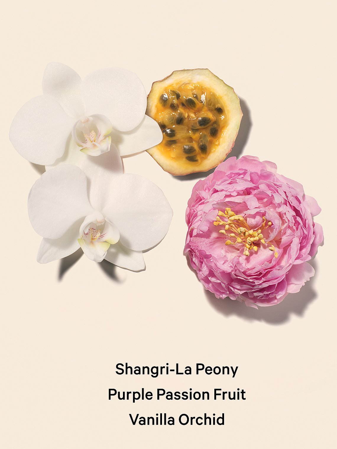 VICTORIAS SECRET Set Mini Perfume & Crema BOMBSHELL