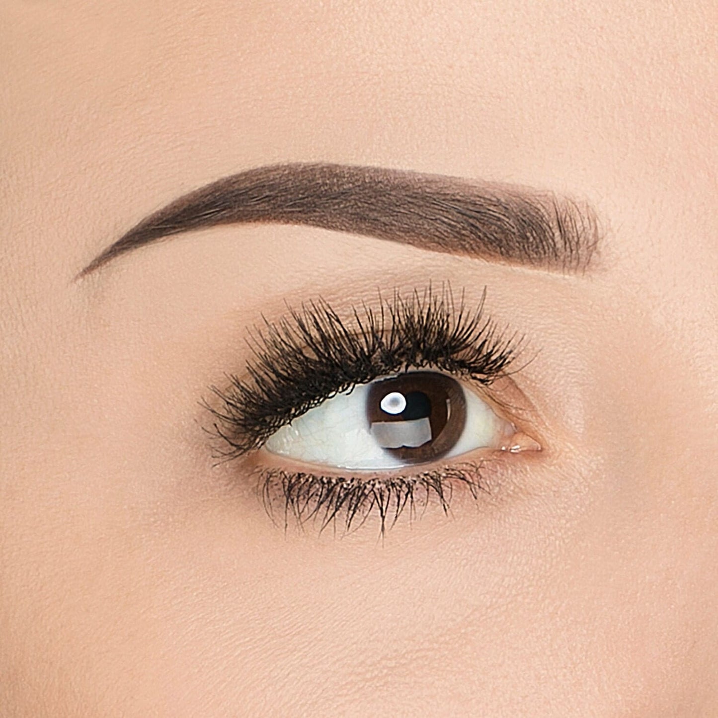 BROW BAR BY REEMA PRO-BROW Pomade Kit DARK BROWN - FULL SIZE - Pomada para Cejas con Pincel Aplicador